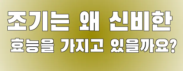 조기는 왜 신비한 효능을 가지고 있을까요?