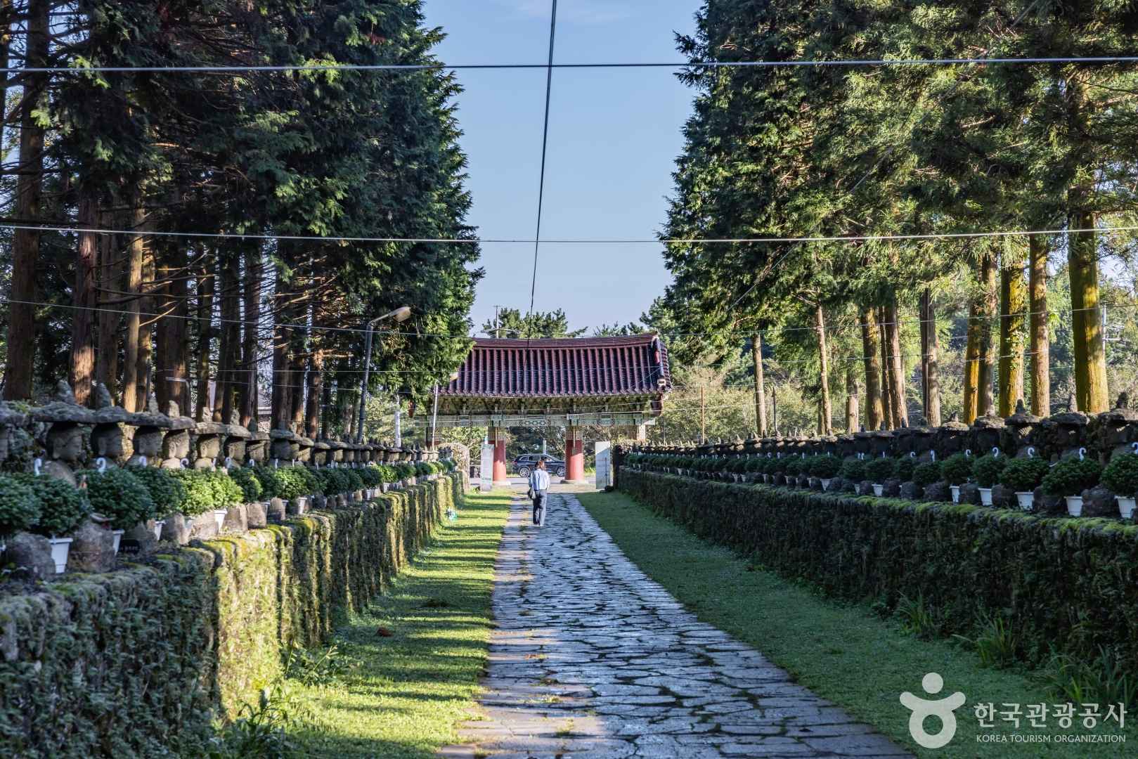 제주 관음사