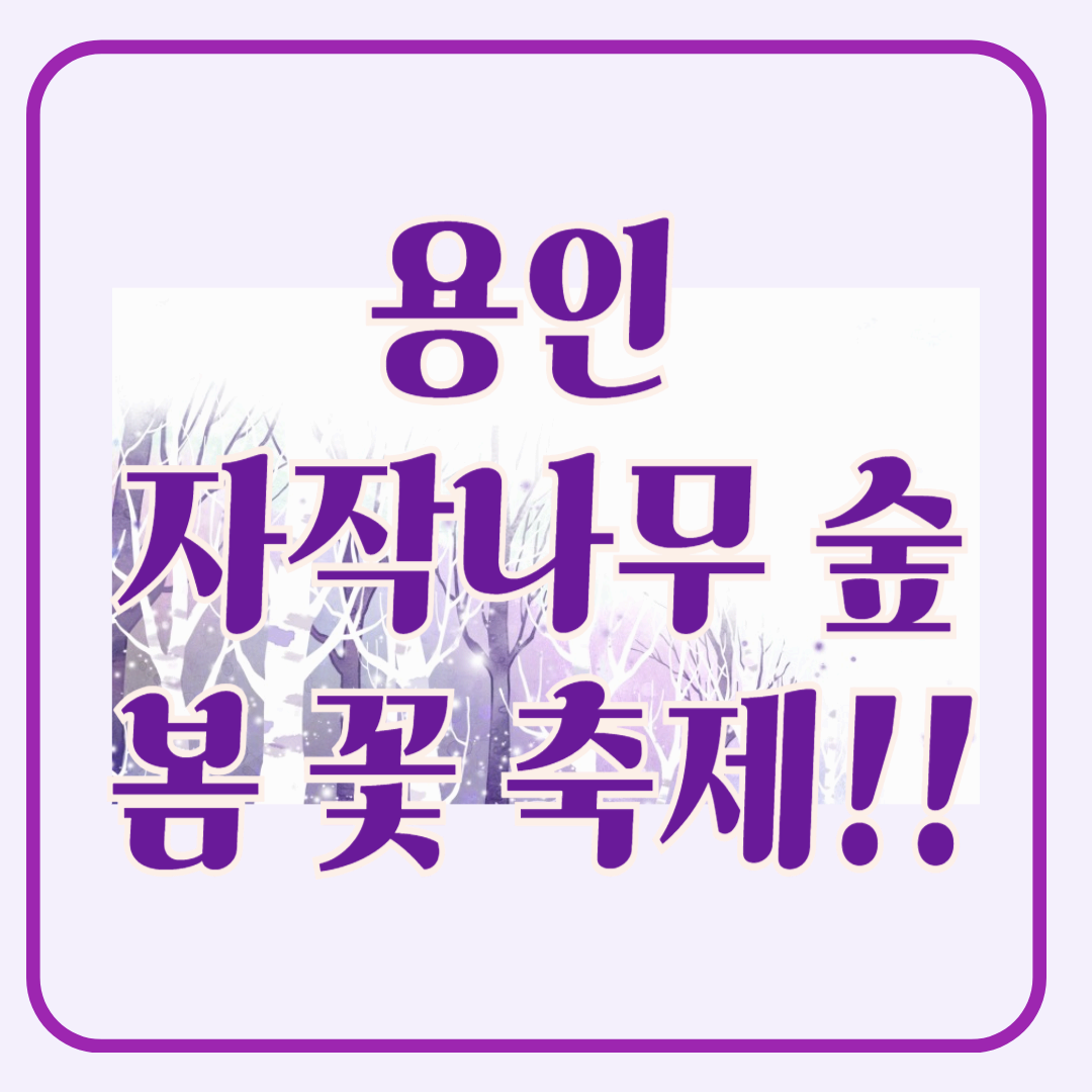 용인 자작나무 숲 봄 꽃 축제, 봄 날의 감성에 물들다!