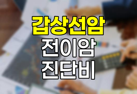 메리츠화재 갑상선암 및 기타피부암 전이암 진단비 특약 심층 분석