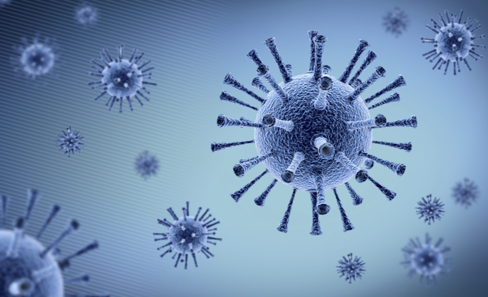 A형과 B형 독감의 주요 차이점 