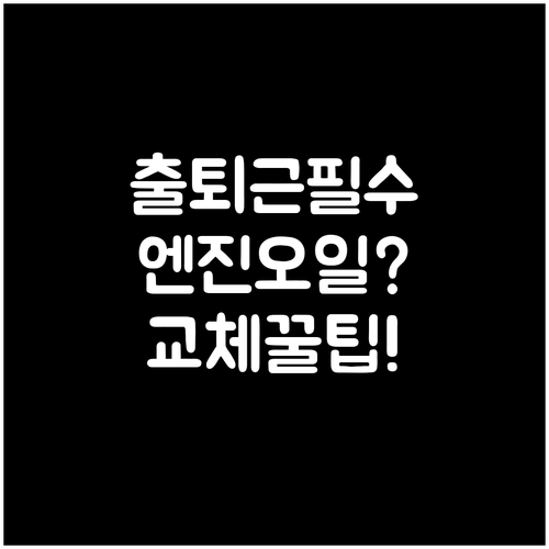 출퇴근용 차량 엔진오일 선택 방법과 ..