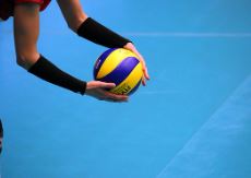 조슈아 와이어하우저