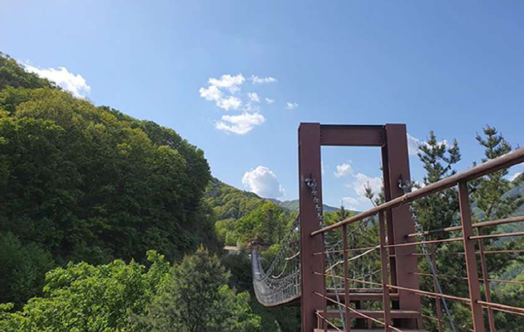 가평 브릿지 짚라인