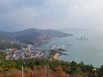 해남 맛집 베스트10 현지인 숨겨진 맛집_13