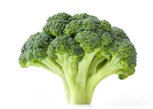 브로콜리
