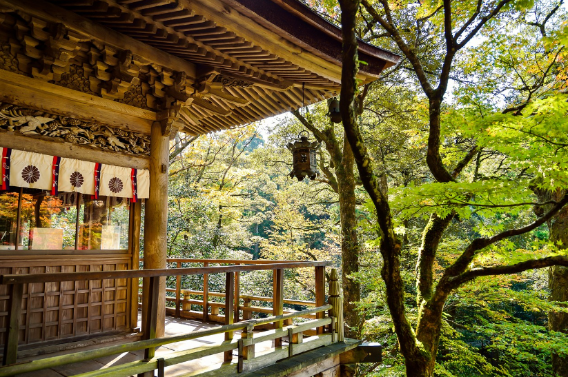 일본인의 식습관 관련 사진