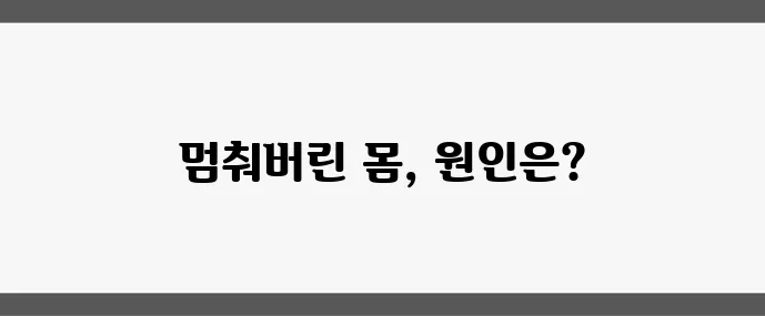 중년 체중 증가 원인과 해결책 살찌는 이유를 파헤쳐 보자!