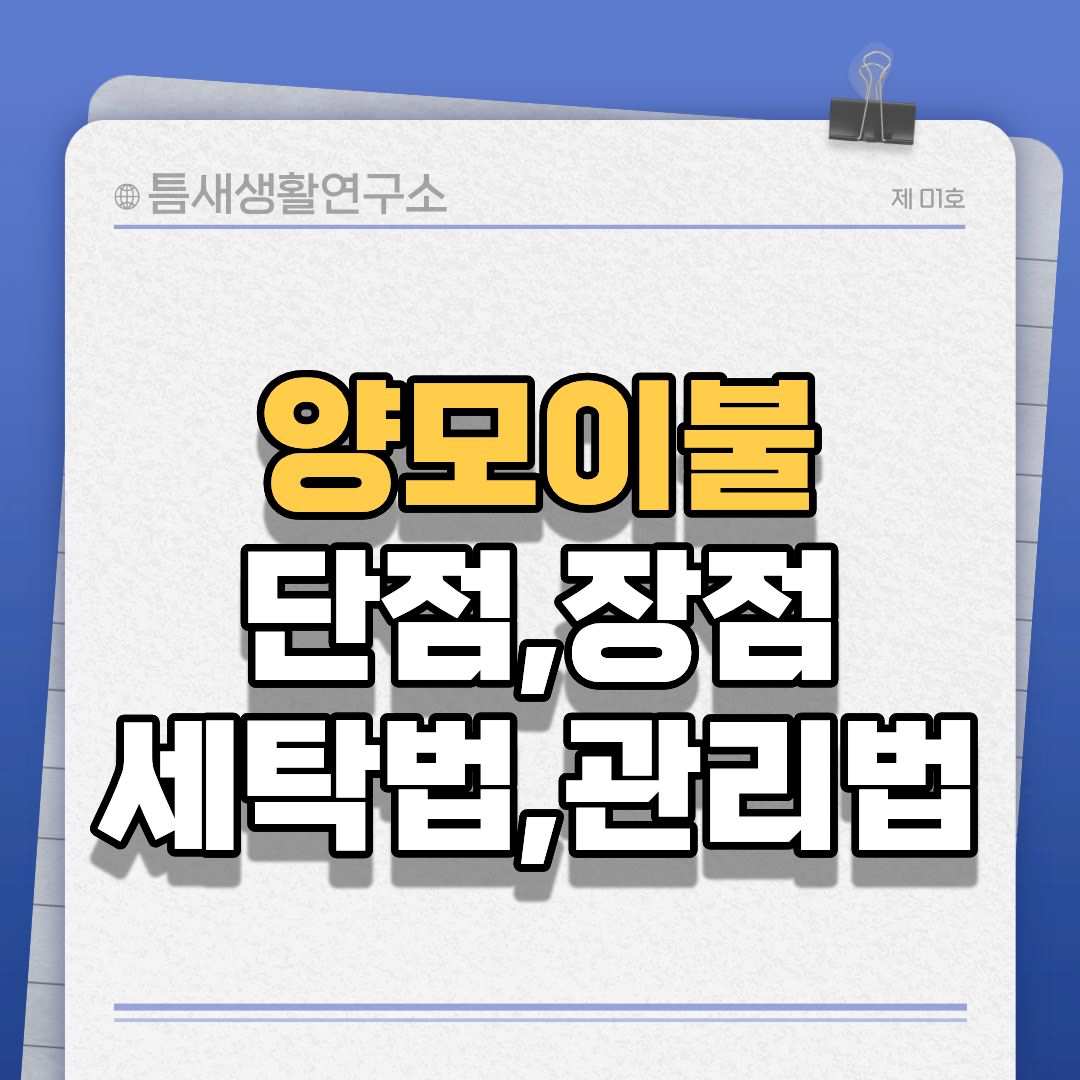 양모이불-썸네일