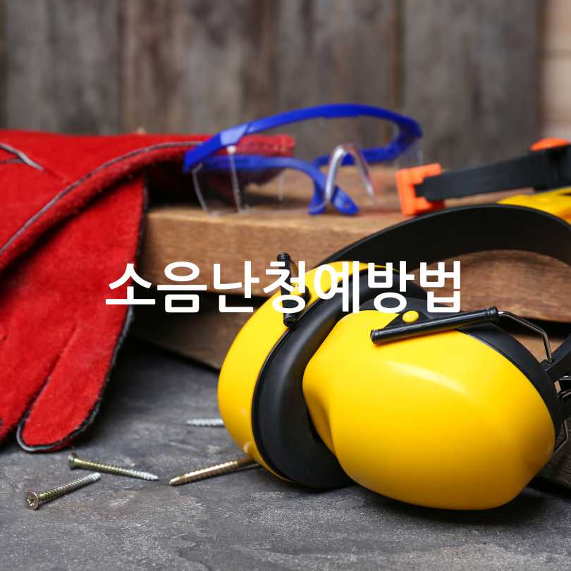 소음성 난청