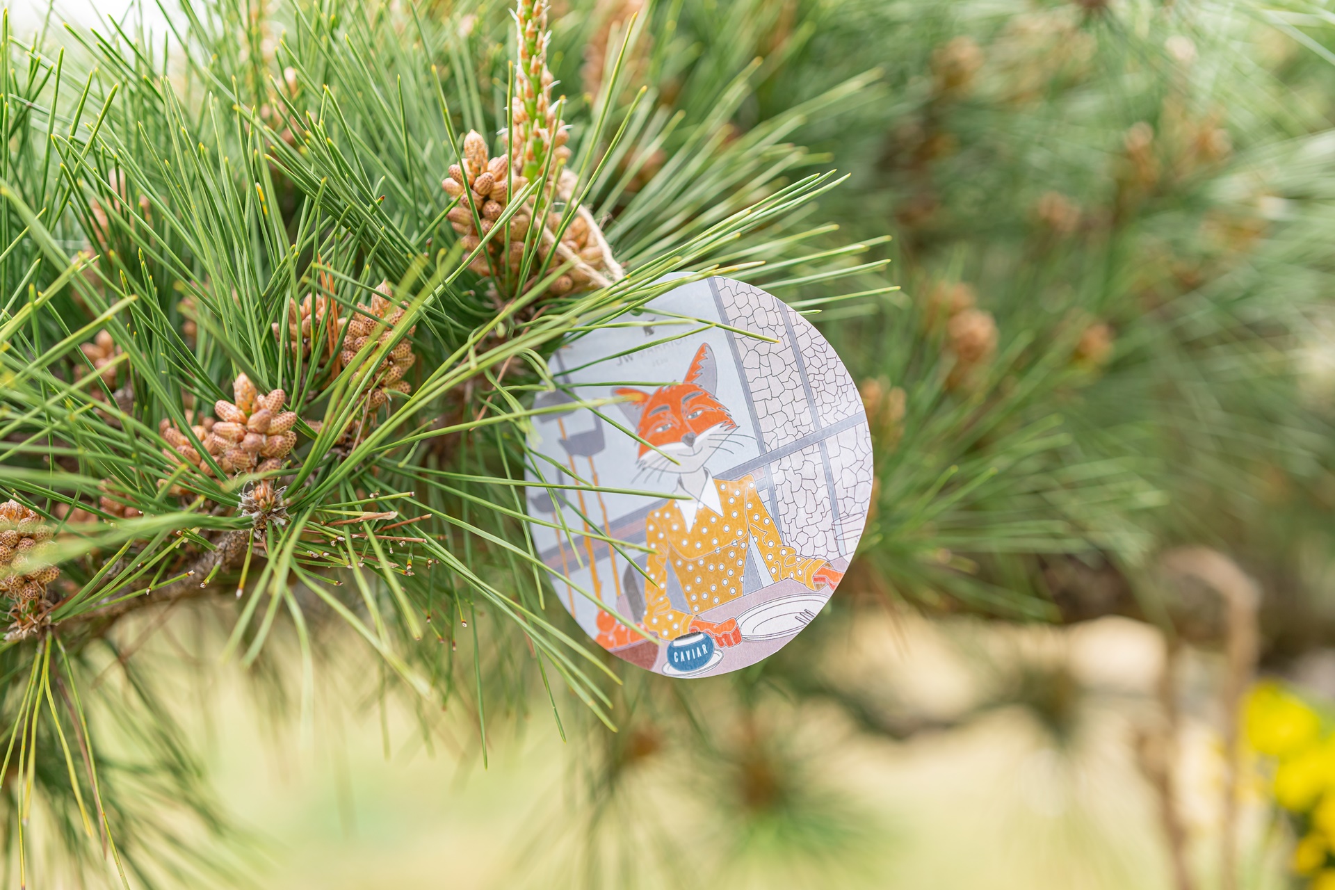 #JW가든 #JW메리어트제주 #댄싱두루미 #더플라잉호그 #아일랜드키친 #유채꽃 #제주사진 #제주여행 #제주유채꽃 #제주호텔