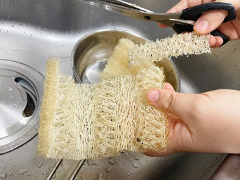 천연수세미 사용후기