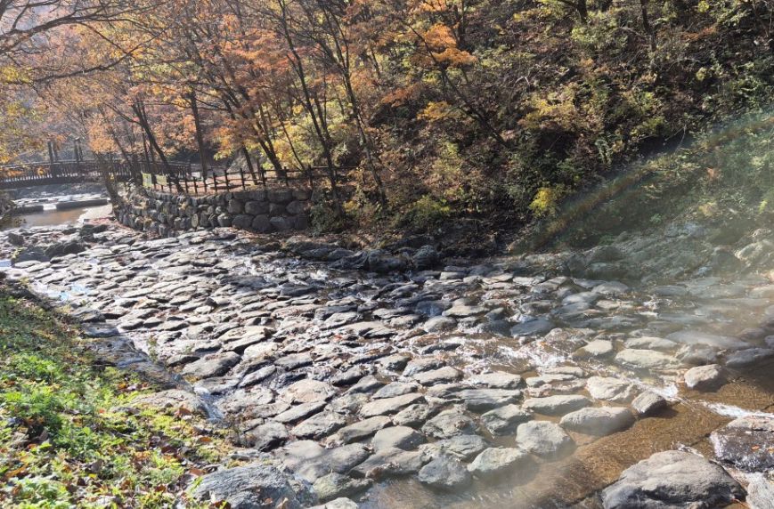 집다리골자연휴양림