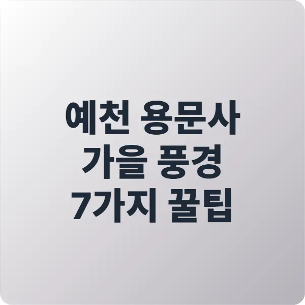 예천 용문사 가을 풍경 7가지 꿀팁