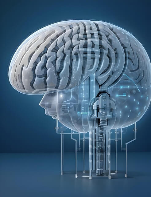 AI 탐지기 결과가 대학 입학 전형이나 입사 전형에 활용