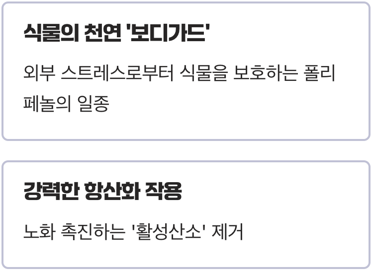 시간을 되돌리는 파수꾼, 레스베라트롤