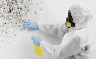 베란다 곰팡이 제거 전문업체