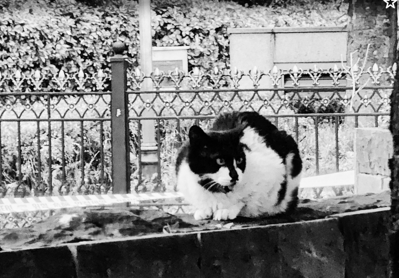 Alt 속성 문제 해결 설명 이미지