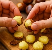 생밤의 효능