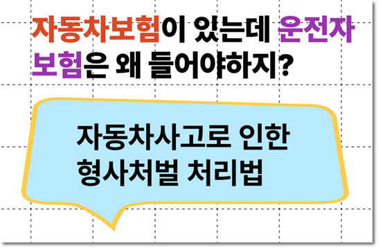 운전자보험의 필요성과 차이점 완벽 분석