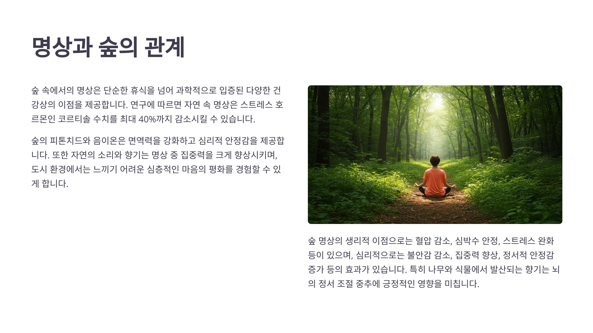 🌳 명상과 숲의 관계