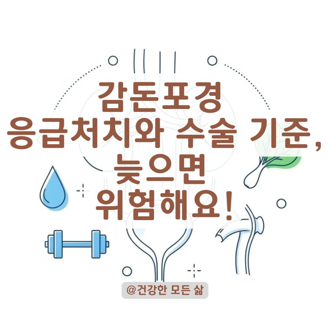 감돈포경, 응급상황일까? 비뇨의학과 의사가 알려주는 수술 결정 기준과 대처법
