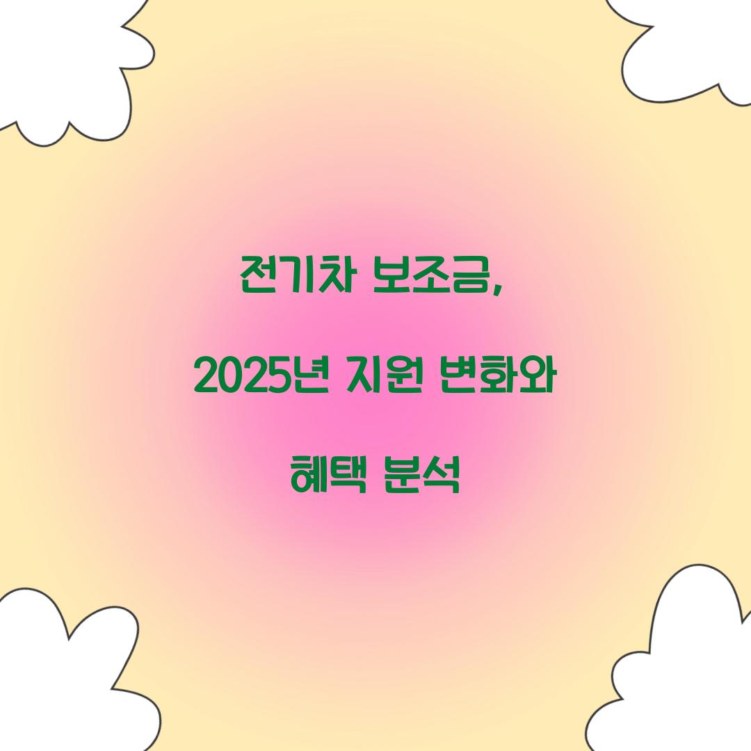 전기차 보조금