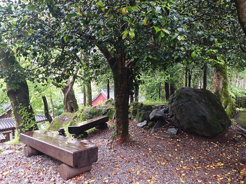 경남 쌍계사 템플스테이 신청 방법