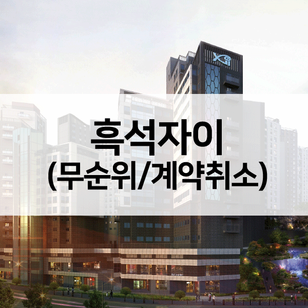 흑석자이무순위-1