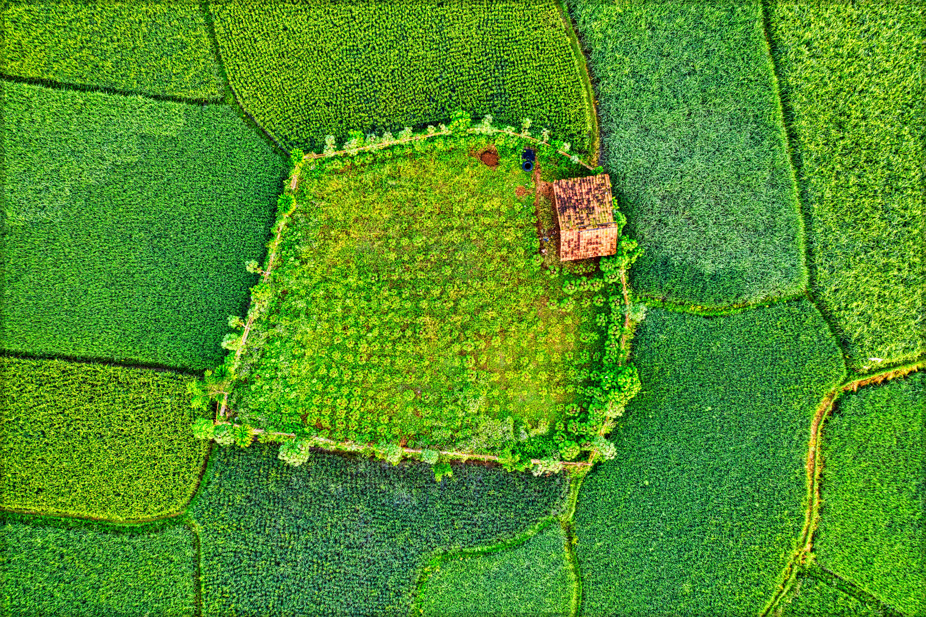 농지연금 계산기 활용법&amp;#44; 모르면 매달 50만 원 손해 보는 결정적 이유