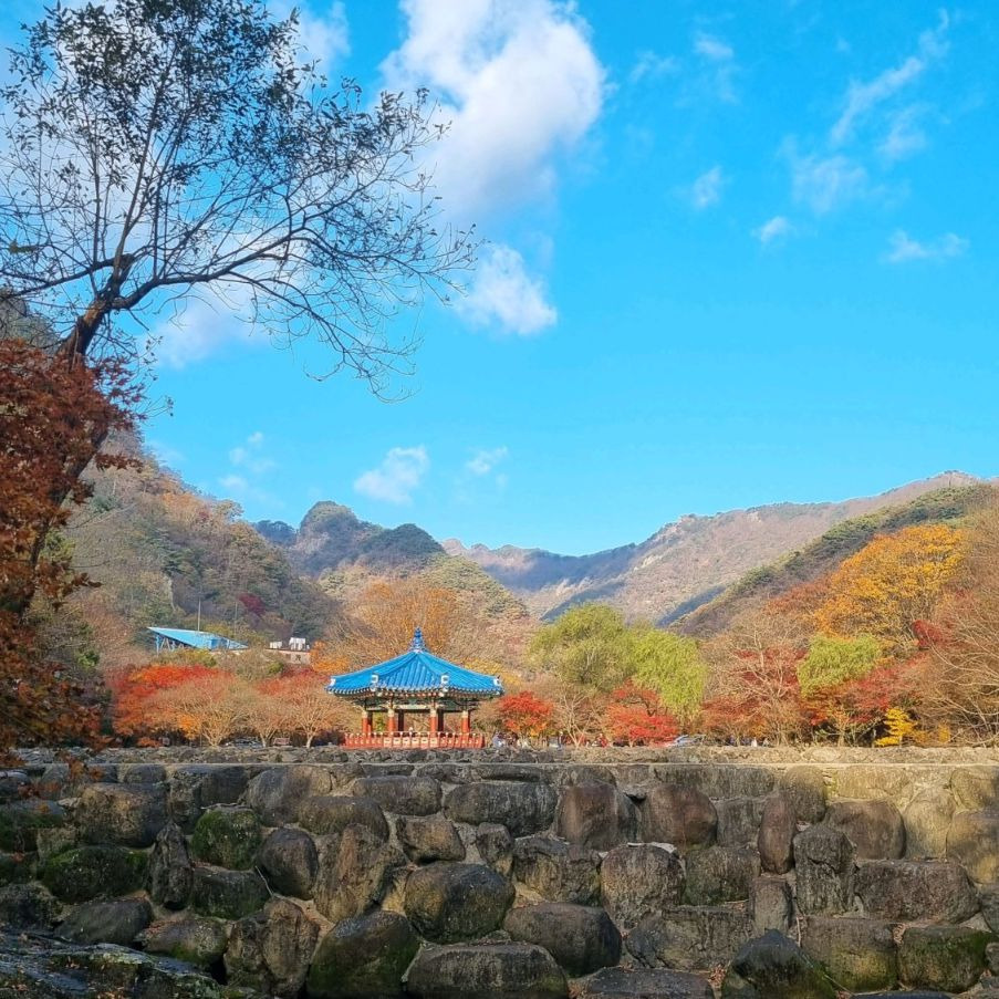 우화정