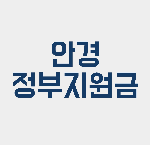 안경정부지원금