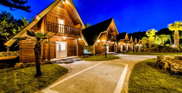 브라운캐빈 관련 사진