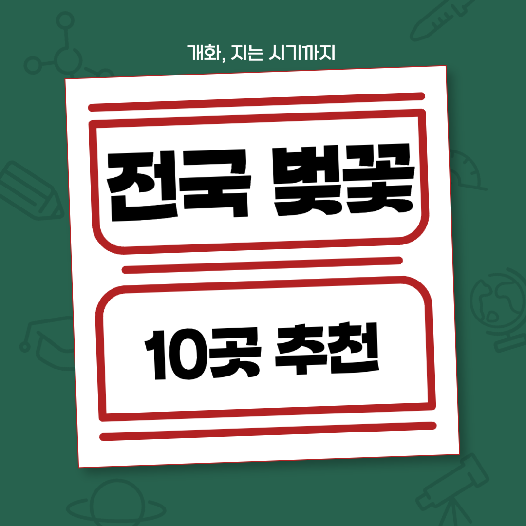 전국 벚꽃 명소 10곳 추천