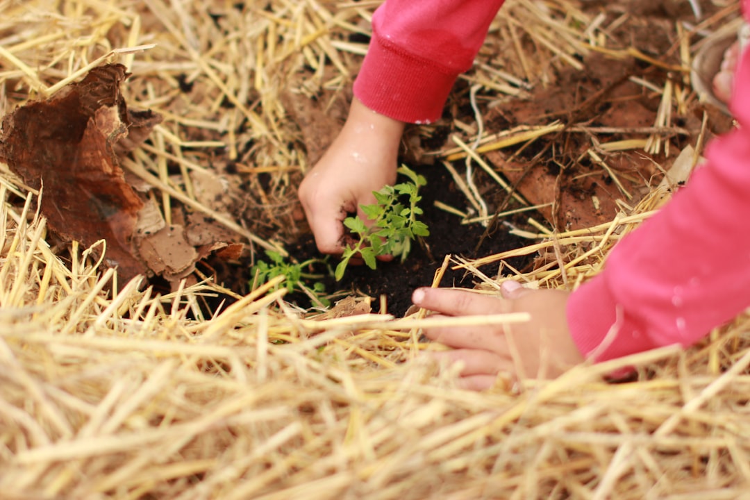 Planting