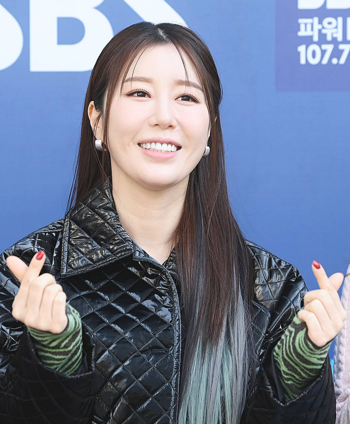 가수-나비