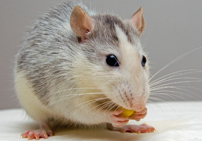 오늘의 운세 10월 26일