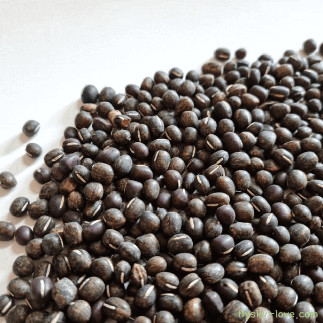 검은팥 고르는 법