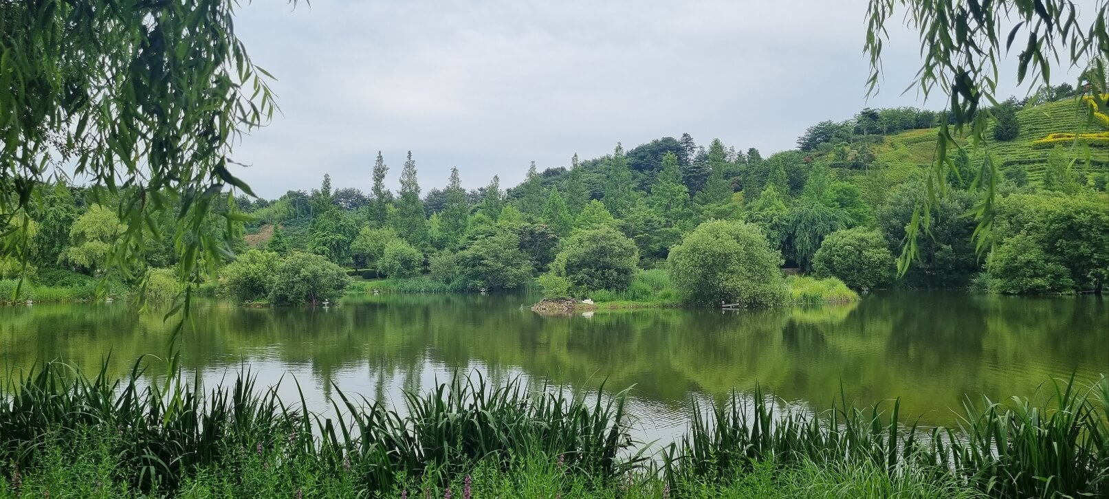 순천만 국가정원 관람 시간 입장료 주차장