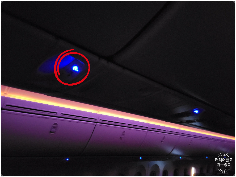 하와이로 가는 에어 프레미아