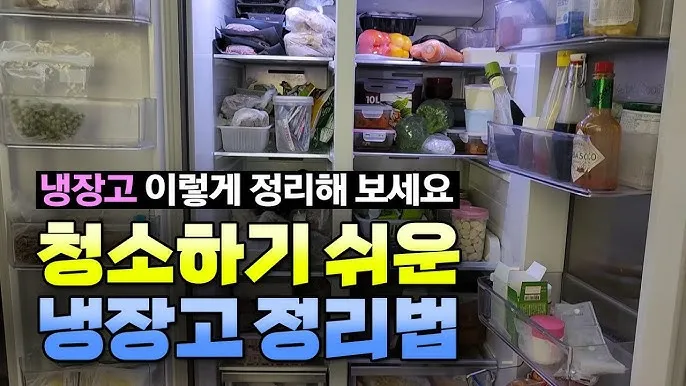 냉장고 청소하는 법 청소법_9