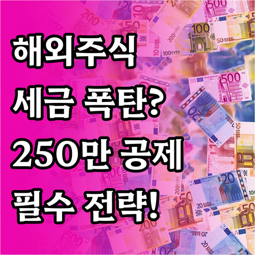 해외주식 양도세 배당소득 신고 250..