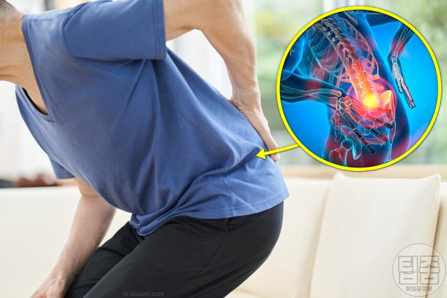 추간판탈출증 증상 숙일때 통증 디스크탈출증