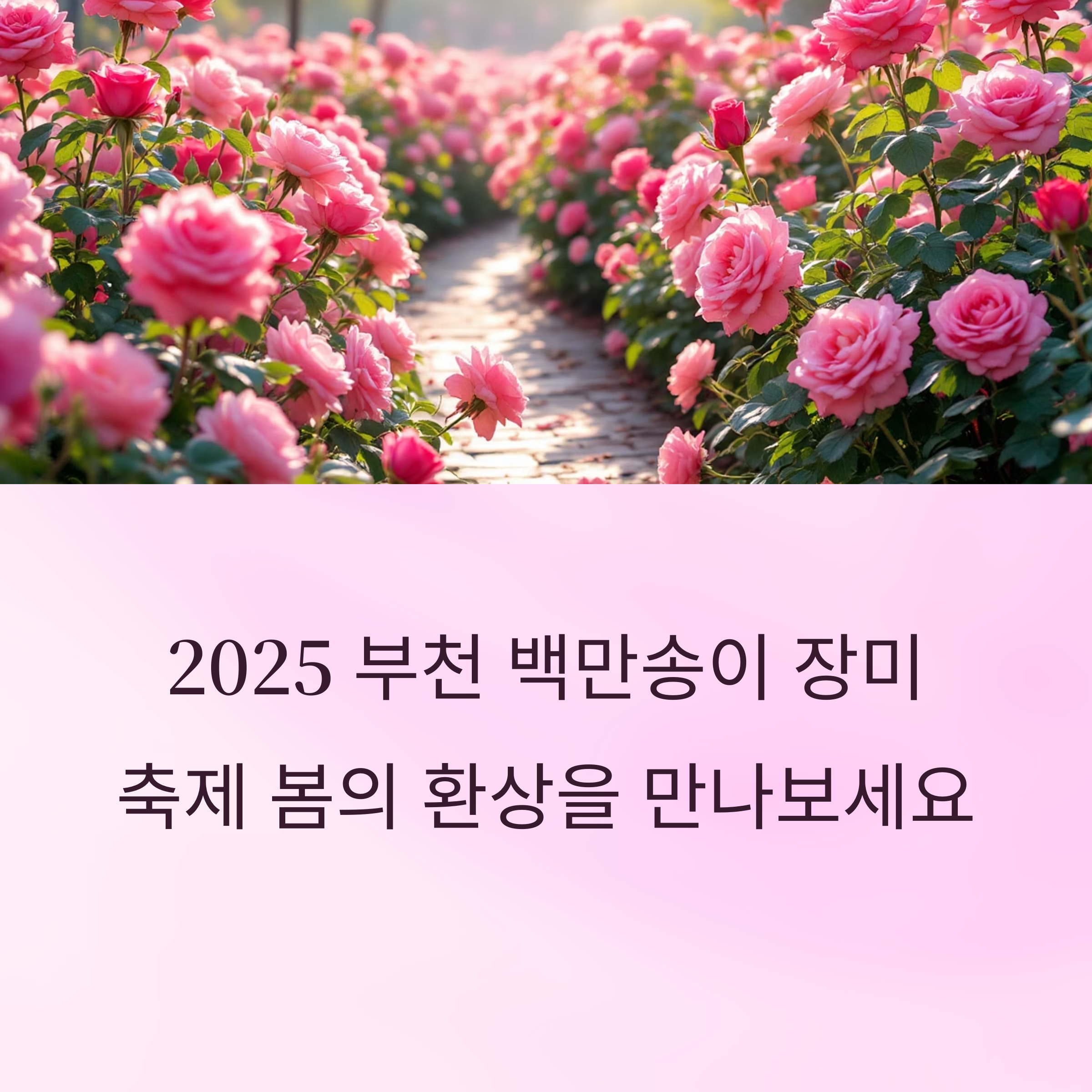 2025 부천 백만송이 장미축제,