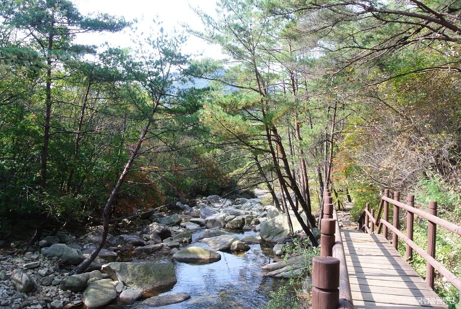 월악산국립공원