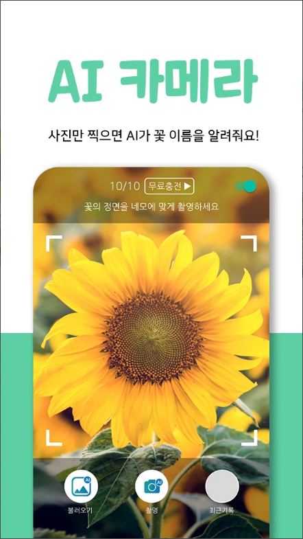왓캠, 꽃 이름 찾기 어플, 꽃 식별 하기, 식물 이름 찾기