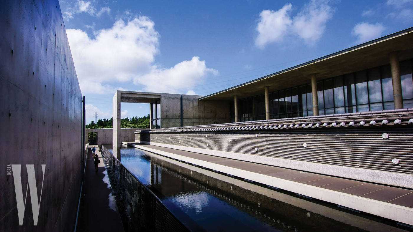 제주도 박물관 추천 (위치, 이용시간, 예매방법)