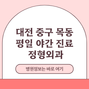 대전 중구 목동 평일 야간진료 정형외과 진료 병원
