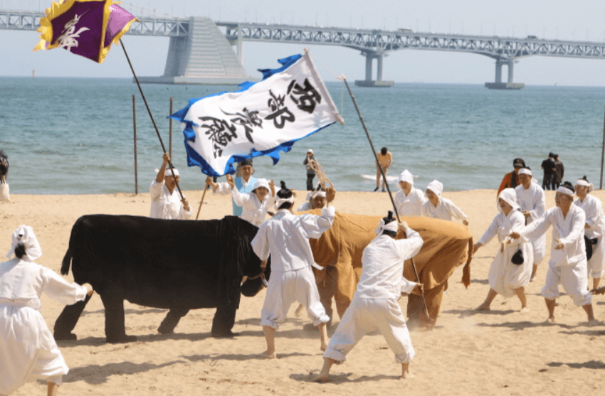5월 부산 여행 축제 일정 가볼만한 곳&amp;#44; 여행 추천