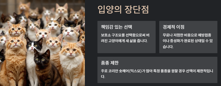 고양이 키우기: 초보집사를 위한 입분양부터 준비물 및 주의사항